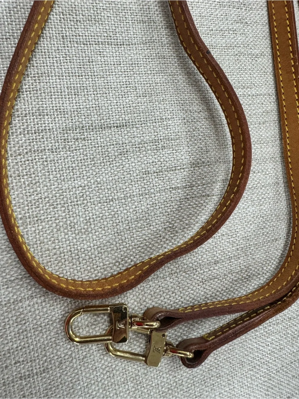 Louis Vuitton iconic louis